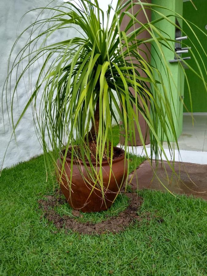 Green House Praia de Pipa Exterior photo